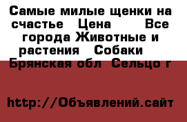 Самые милые щенки на счастье › Цена ­ 1 - Все города Животные и растения » Собаки   . Брянская обл.,Сельцо г.